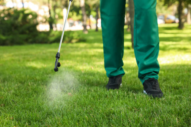 Best Pest Control Near Me  in Sharpes, FL