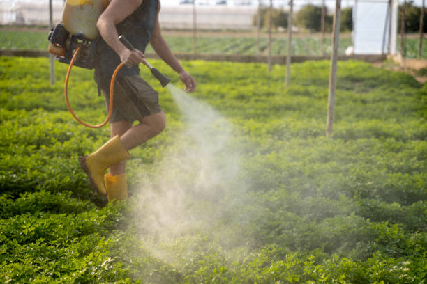 Best Pest Inspection Near Me  in Sharpes, FL