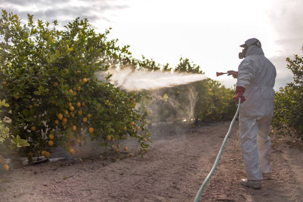 Pest Prevention Services in Sharpes, FL