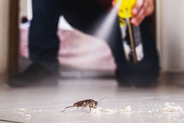 Best Ant Control Services  in Sharpes, FL