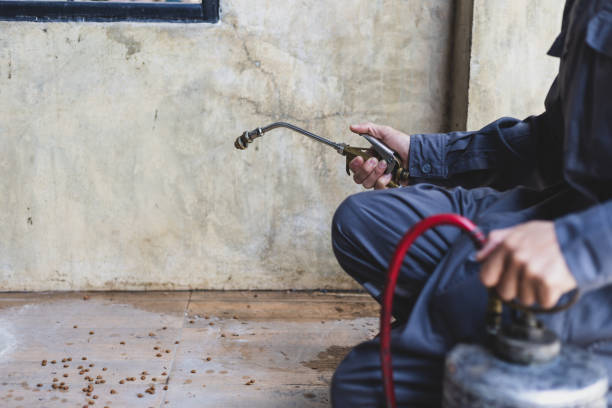 Best Best Pest Control Companies  in Sharpes, FL